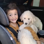 Dave Nathan - @drdavidmain - Instagram