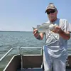 Dave McNees - @dave.mcnees - TikTok