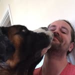Dave_nelms - @davenelms85 - Instagram