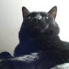 Dave New - @davean23 - TikTok