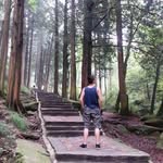 Dave Ngai - @davengai - Instagram