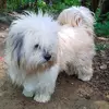 davenieves - @davenieves - TikTok