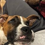 Dave Nixon - @dave_nixon - Instagram