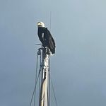 Dave Nixon - @dave.nixon.351 - Instagram
