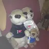 Dave Nixon - @dave.nixon34 - TikTok