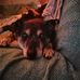 David Nixon - Facebook