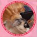 Dave Nolte - Facebook
