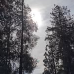 Dave None - @jx3_99 - Instagram