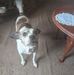 David Stalter  - Facebook