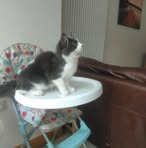 Dave Noone - Facebook