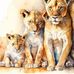Dave Norby - Facebook