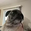 David Norling - @david.norling1 - TikTok