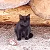 dave.null - @dave.null - TikTok