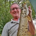 Dave Nuttall - @nutty645 - Instagram