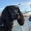 dave_nutter - @dave_nutter - TikTok