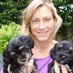 dave oakley - @daveoakley53 - Instagram