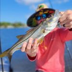 Dave Odell - @odell.dave - Instagram