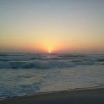 David Odom - @david.odom.391 - Instagram