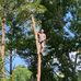 Dave Odum - Facebook