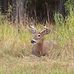 Dave Ogren - Facebook