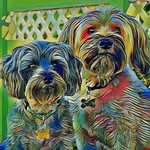 Dave Olds - @dave_olds_1 - Instagram