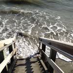 Dave Olender - @dave.olender.5 - Instagram