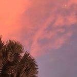 Dave Oliva - @kajan.a - Instagram