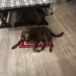 Dave Oman - @daveoman4 - Instagram