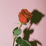 David Öman - @david_omann - Instagram