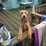 David osborn - @daveosborn61 - Instagram