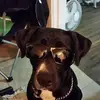 daveostrander277 - @daveostrander277 - TikTok