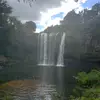 David Otter - @dave56097 - TikTok