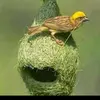 Dave lotto - @dave.lotto - TikTok