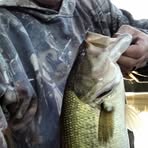 Dave Overturf - Facebook