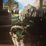 David I. Overturf - @darmbruster62murphy - Instagram