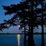 Dave Pace - @daves540 - Instagram