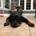 Dave Paige - @davidpaige2plumber - Instagram