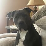 Dave Paris - @daveparis48 - Instagram