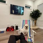 Dave parks - @parks_129 - Instagram