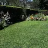 Dave Parks - @daveparks - TikTok
