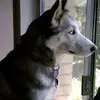 Dave Parks - @dave.parks5 - TikTok