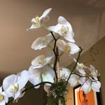 Dave Parsonage - @corporatestrategies - Instagram
