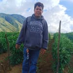 Dave Pascual Mohamad - @davepascualmohamad - Instagram