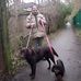 David Pattison - Facebook