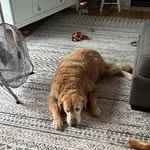 Dave Paulson - @encdave - Instagram