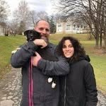 Dave Paulson - @paulsondavid49 - Instagram