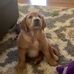 Dave Paulson - Facebook
