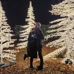 Dave Payton - @dave.payton.7 - Instagram