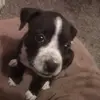 Dave Payton - @dave.payton7 - TikTok