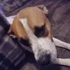 davepayton87 - @davepayton87 - TikTok